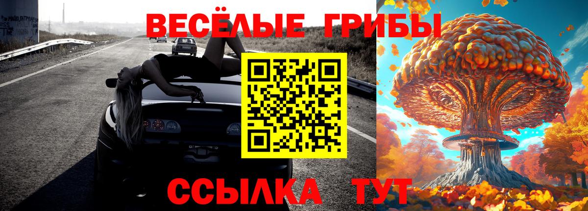 Псилоцибиновые грибы MAGIC MUSHROOMS  Псилоцибиновые грибы Magic Shrooms  Вход с VPN  Кизляр 